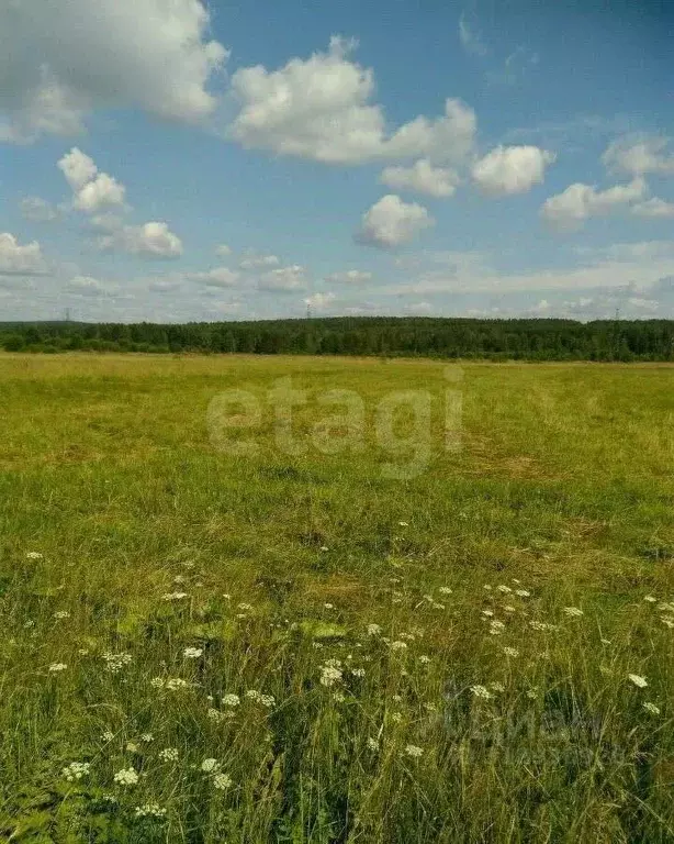 Участок в Свердловская область, Полевской муниципальный округ, с. ... - Фото 1