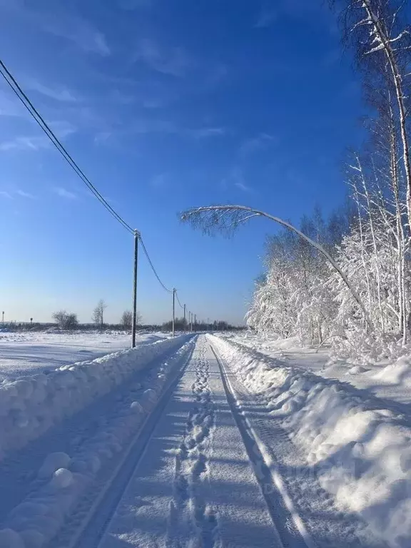 Участок в Ленинградская область, Приозерский район, Сосновское с/пос, ... - Фото 0