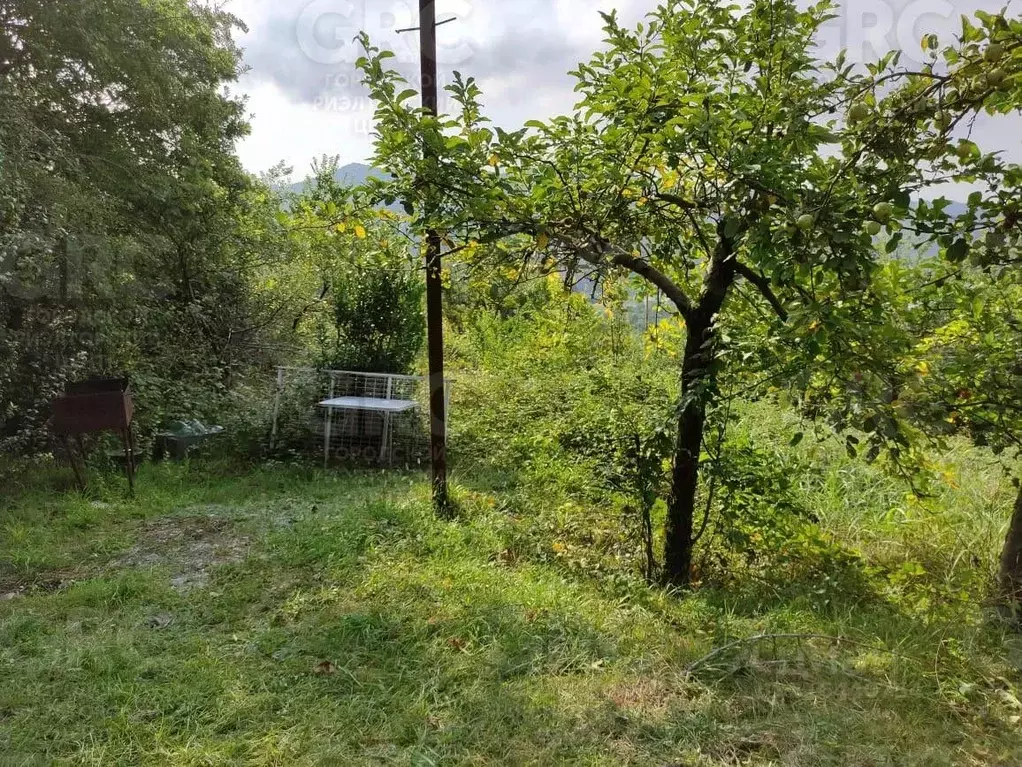 Участок в Краснодарский край, Сочи городской округ, с. Казачий Брод  ... - Фото 1