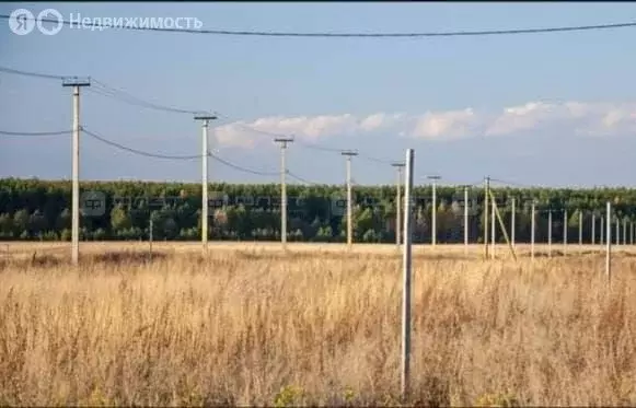 Участок в село Конь, Счастливая улица (7 м) - Фото 1