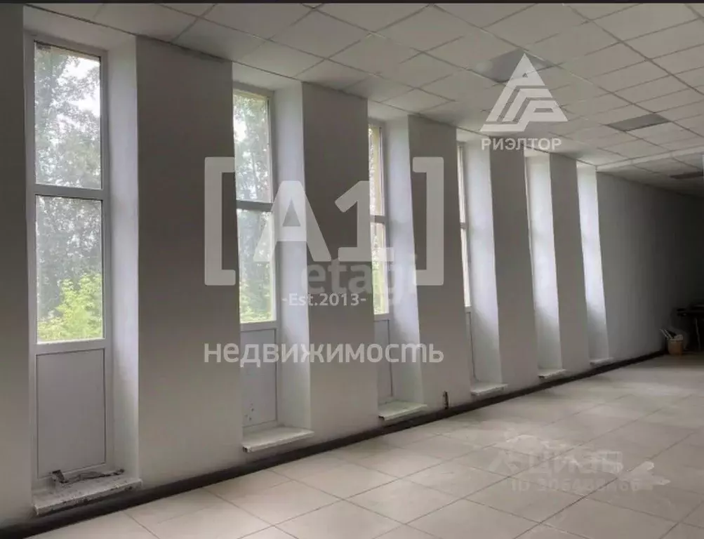 Помещение свободного назначения в Челябинская область, Златоуст ул. ... - Фото 1