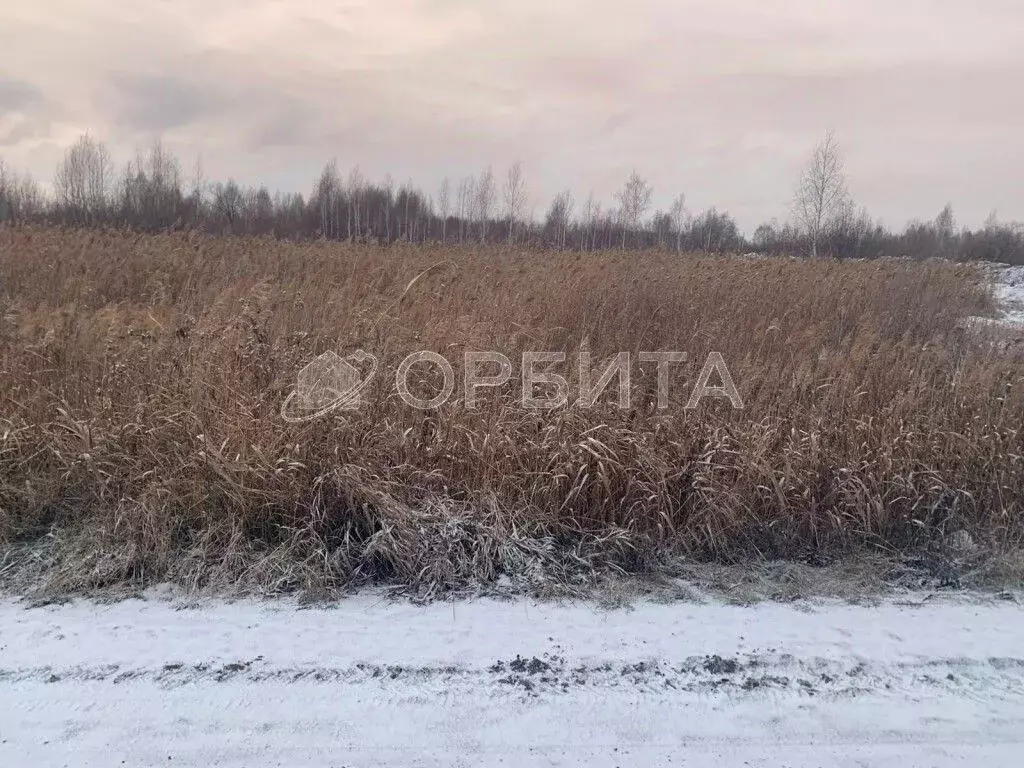 Участок в Тюменская область, Тюмень ул. Чимеевская (220.0 сот.) - Фото 0