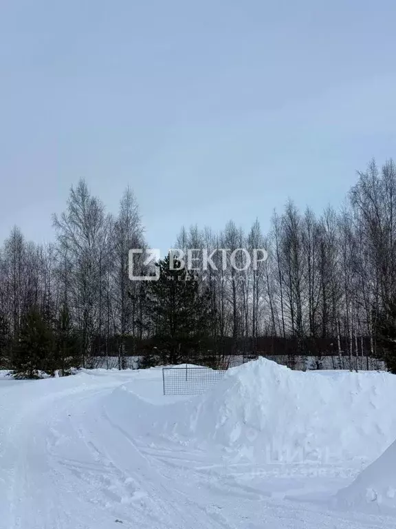 Участок в Костромская область, Кострома Первый кп,  (10.0 сот.) - Фото 1