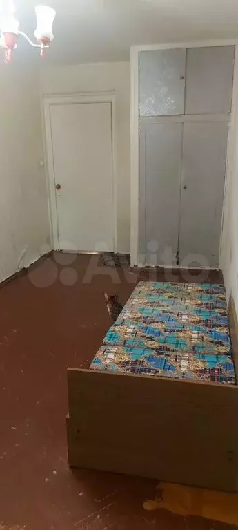 Комната 14 м в 3-к., 2/5 эт. - Фото 1