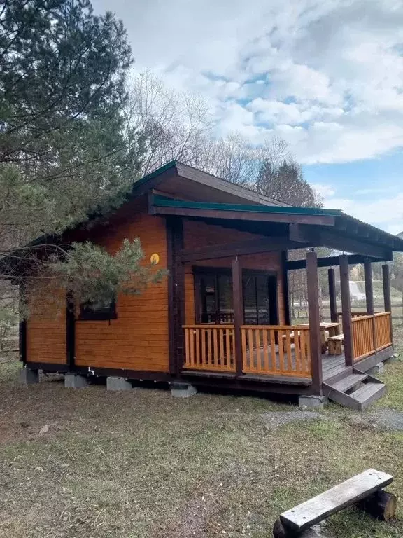 Дом в Алтай, Чемальский район, с. Чемал  (36 м) - Фото 1