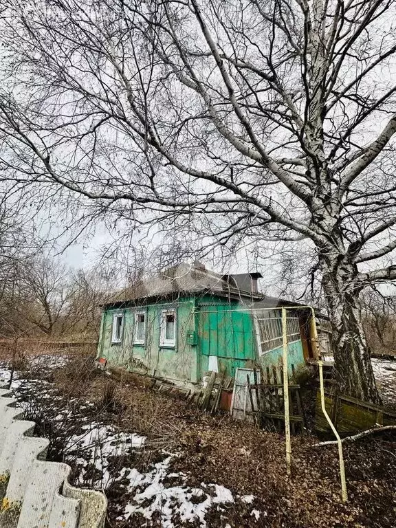 Дом в Алексеевка, Центральная улица (32.8 м) - Фото 0