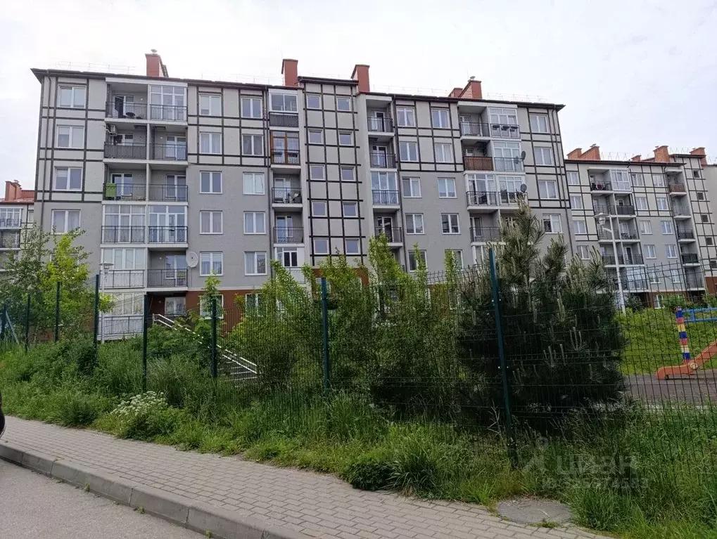 Студия Калининградская область, Светлогорск Тихая ул., 8 (24.1 м) - Фото 2