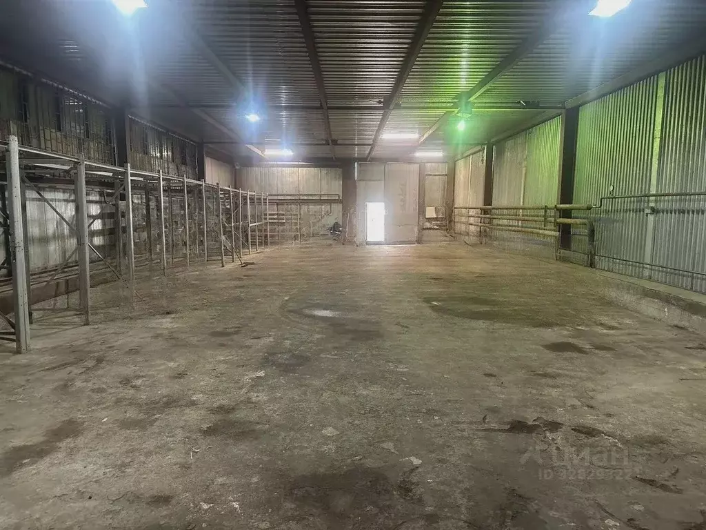 Помещение свободного назначения в Московская область, Дедовск г. Истра ... - Фото 2