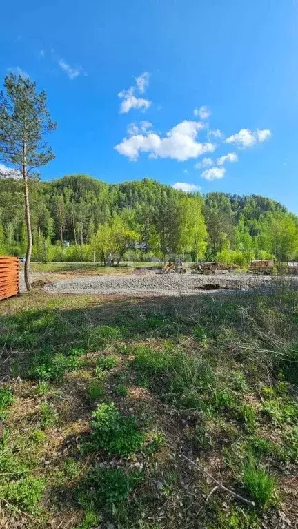 Участок в Алтай, Майминский район, Соузгинское с/пос, пос. Черемшанка ... - Фото 1