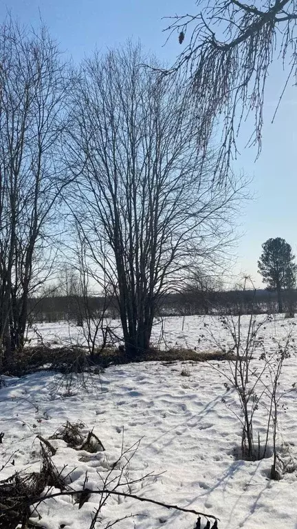 Участок в Ленинградская область, Тосненское городское поселение, д. ... - Фото 2