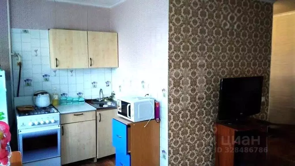 2-к кв. Алтайский край, Барнаул ул. Георгия Исакова, 143 (45.0 м) - Фото 1