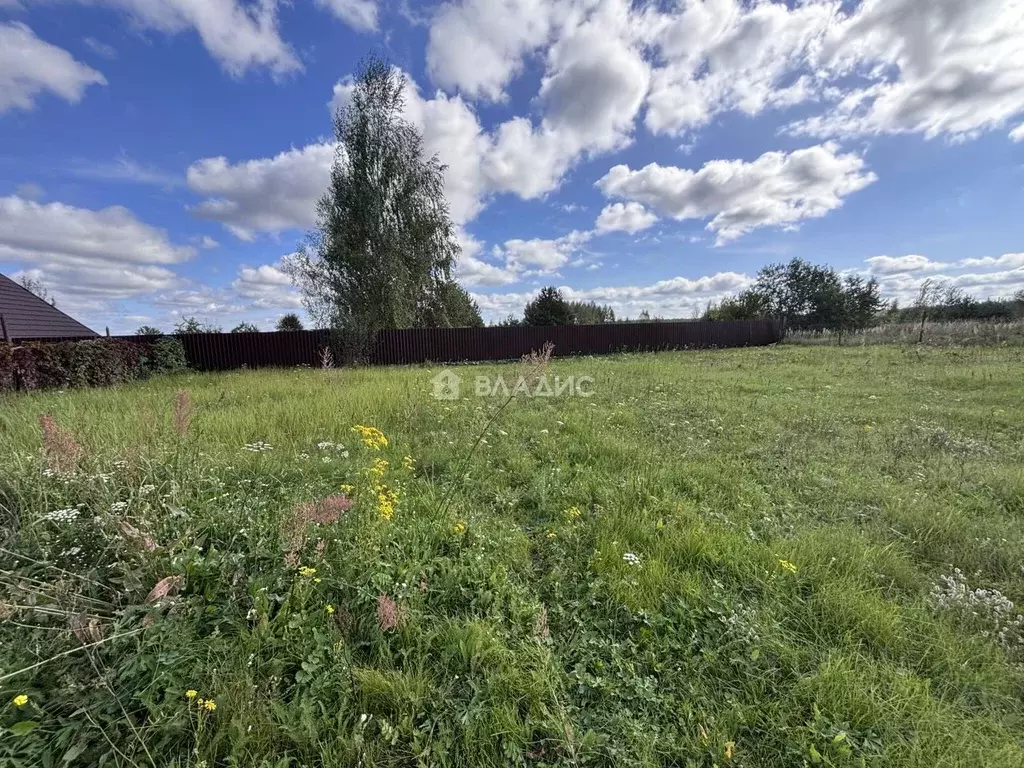 Участок в Владимирская область, Камешковский район, д. Брызгалово, д. ... - Фото 1