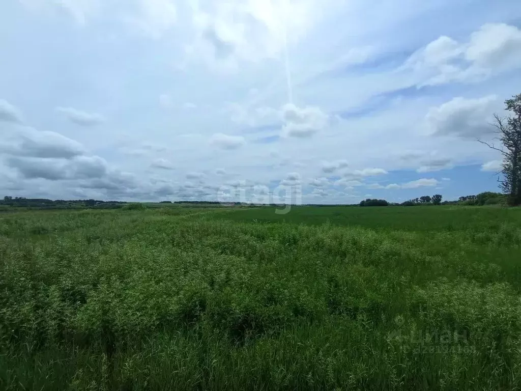 Участок в Амурская область, Благовещенск Рассвет СТ, 78 (6.2 сот.) - Фото 1