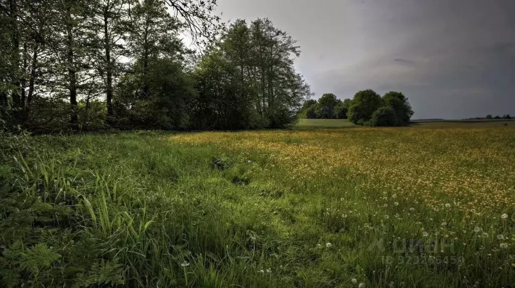 Участок в Ленинградская область, Выборгский район, Советское городское ... - Фото 2