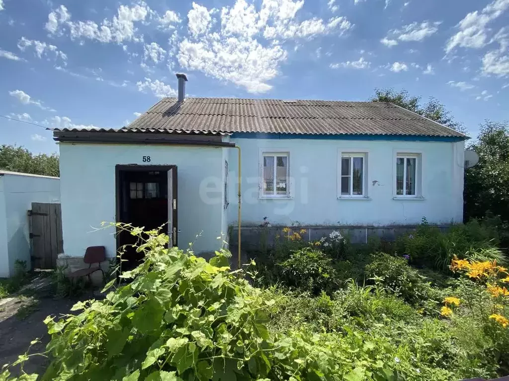 Дом в Воронежская область, Панино рп ул. Космонавтов, 58 (71 м) - Фото 1