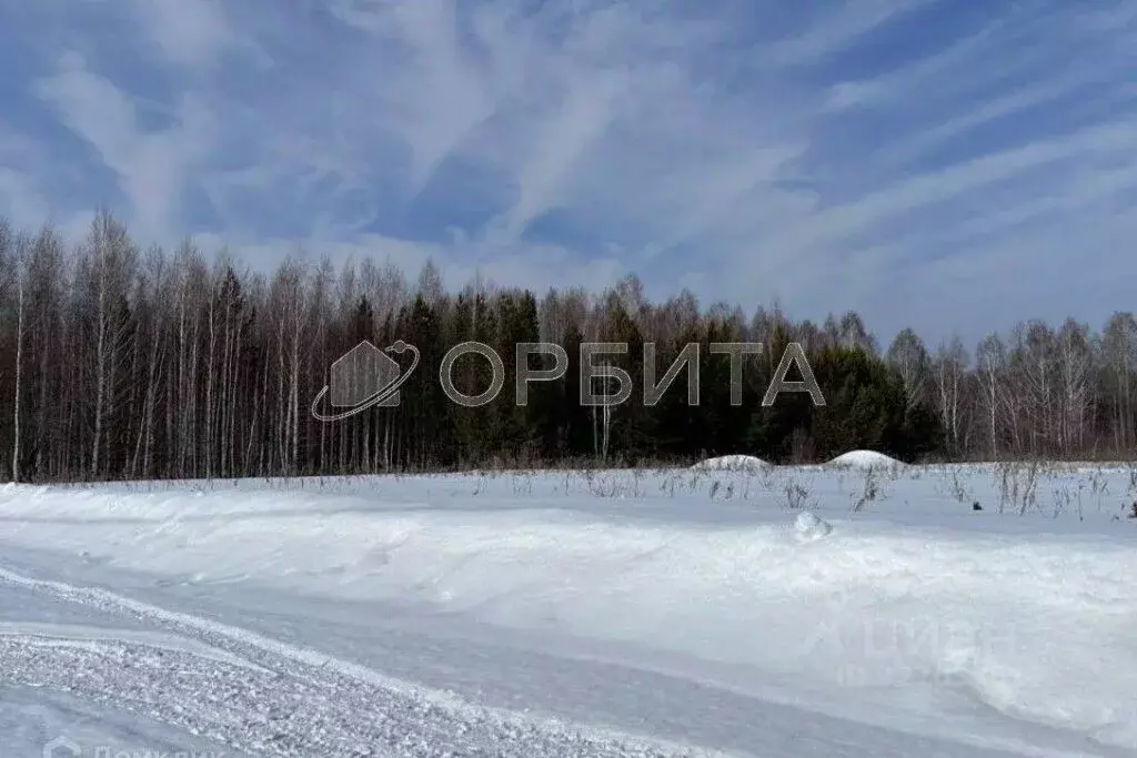 Участок в Тюменская область, Тюменский муниципальный округ, с. Кулига, ... - Фото 1
