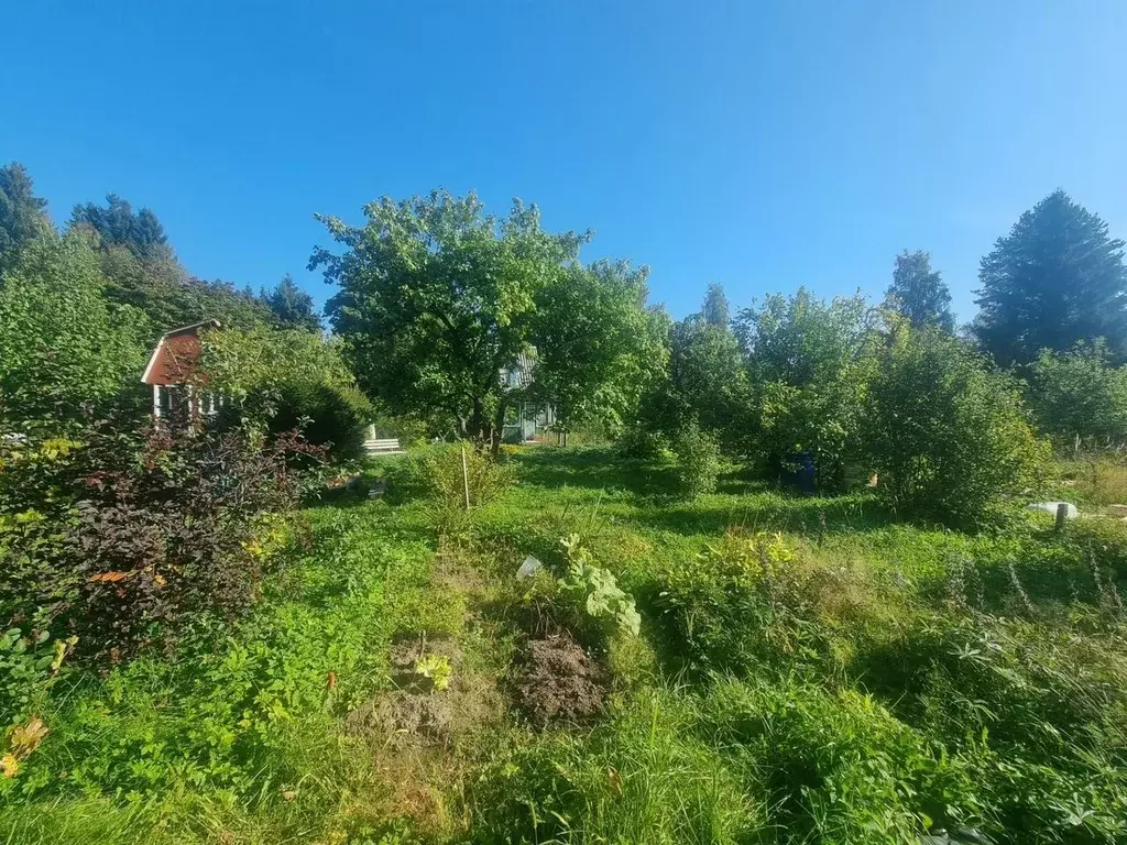 Дом в Ленинградская область, Всеволожский район, Юкковское с/пос, ... - Фото 2