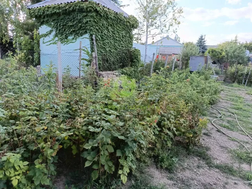 Дом в Крым, Белогорский район, Зеленогорское с/пос, с. Балки ул. ... - Фото 2