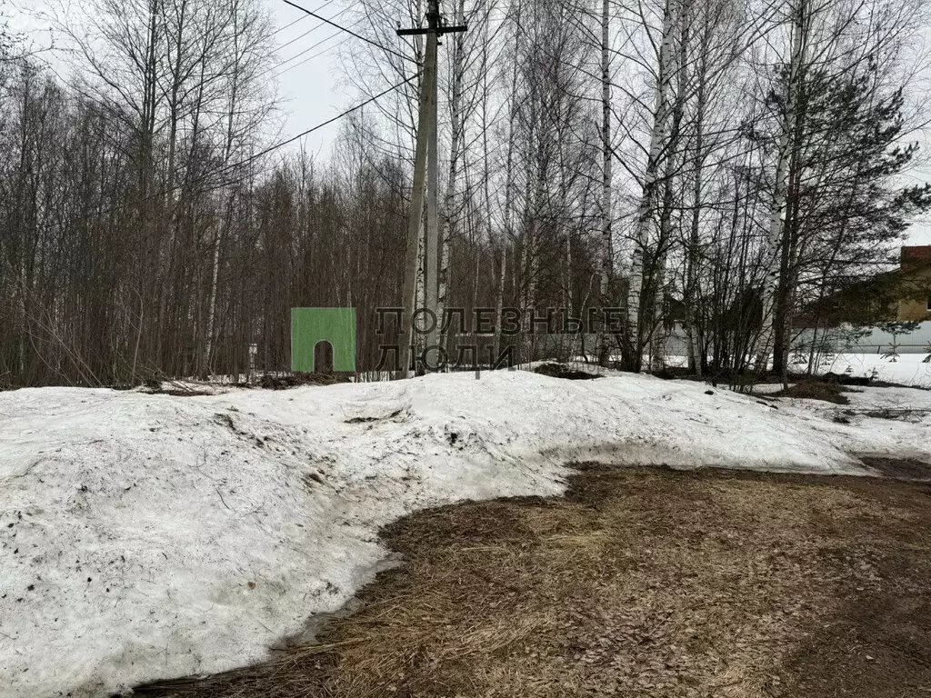 Участок в деревня Хохряки, Озёрная улица (9.54 м) - Фото 2