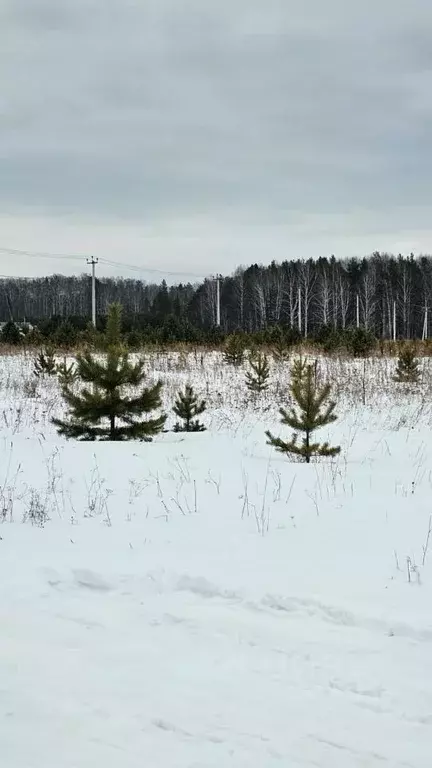 Участок в Свердловская область, Полевской муниципальный округ, с. ... - Фото 1