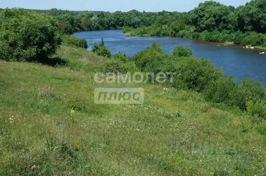 Участок в Воронежская область, Рамонский район, с. Новоживотинное  ... - Фото 1