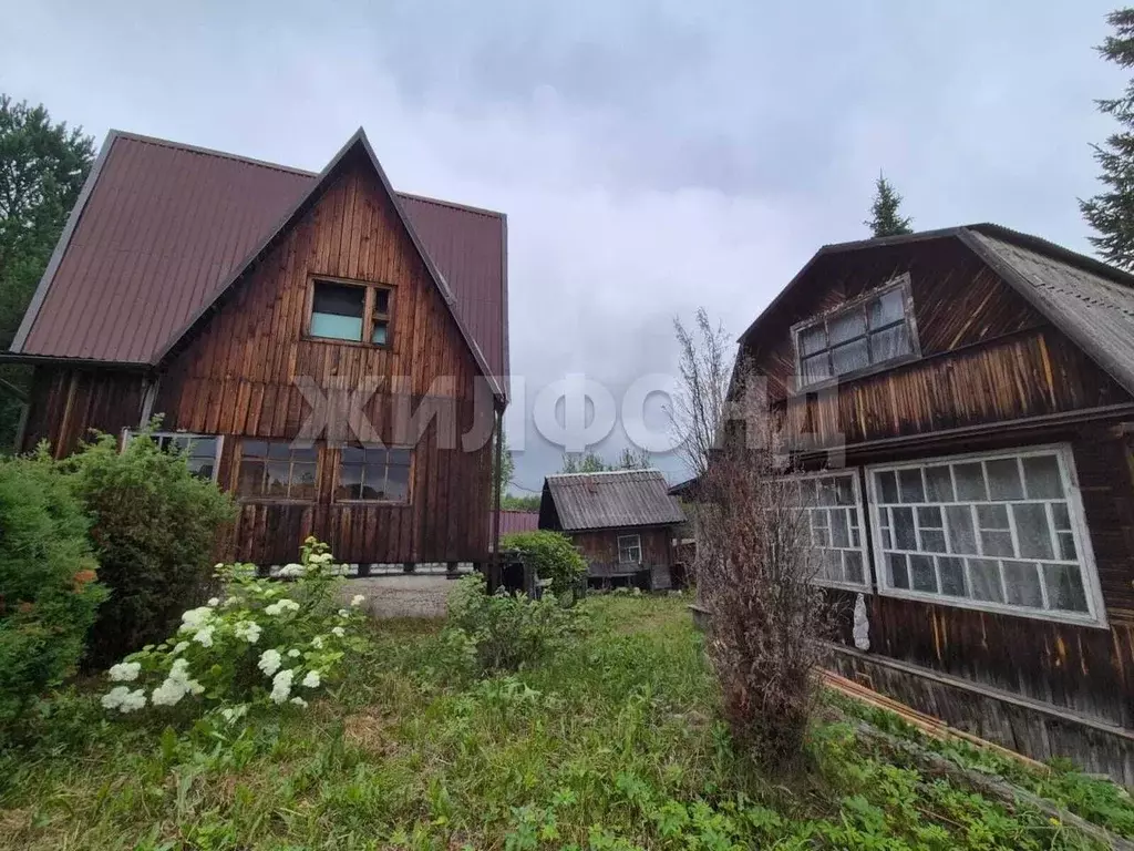 Дом в Новосибирская область, Мошковский район, Смородинка садовое ... - Фото 1