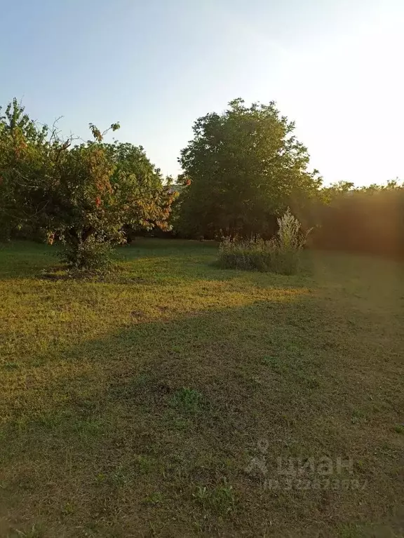 Участок в Краснодарский край, Новороссийск городской округ, Раевская ... - Фото 1