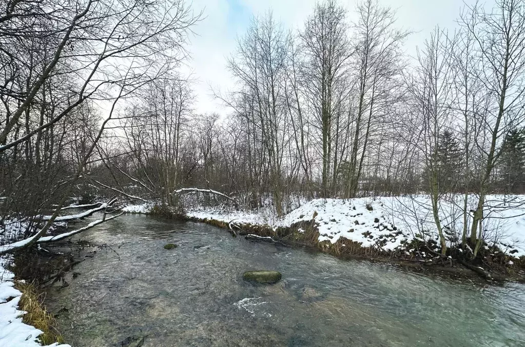 Участок в Ленинградская область, Ломоносовский район, Ропшинское ... - Фото 1