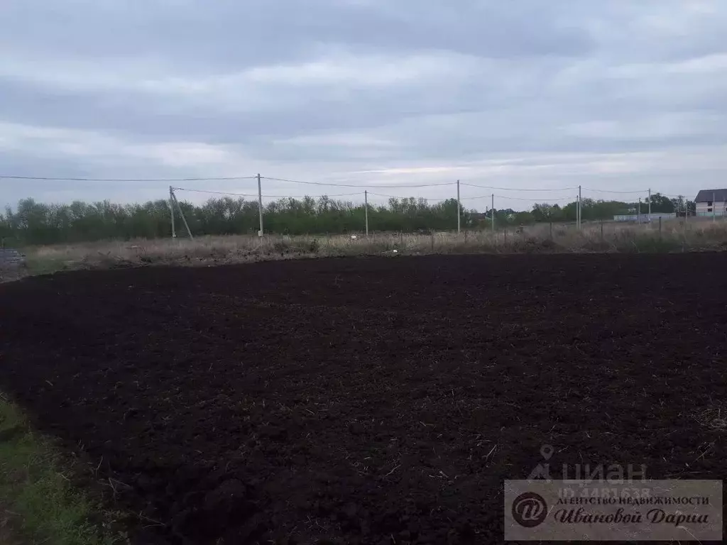 Погода в п просвет самарской. Просвет курганская область. Погода в п просвет самарской. Погода в п просвет самарской. Старый просвет курганская область.