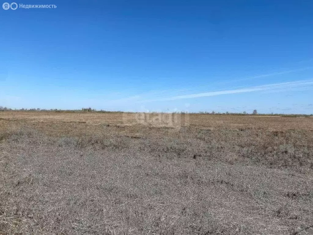 Участок в Тюмень, Ленинский округ (6 м) - Фото 2