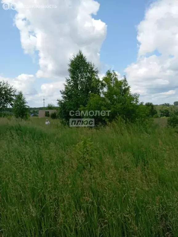 Участок в Ленинск-Кузнецкий, Малахитовая улица (15 м) - Фото 1