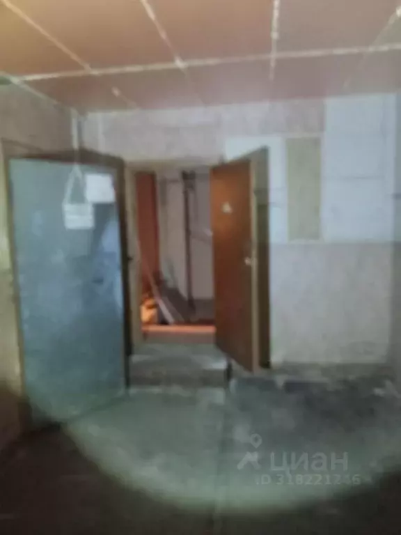 Помещение свободного назначения в Пермский край, Пермь ул. Вильямса, ... - Фото 1