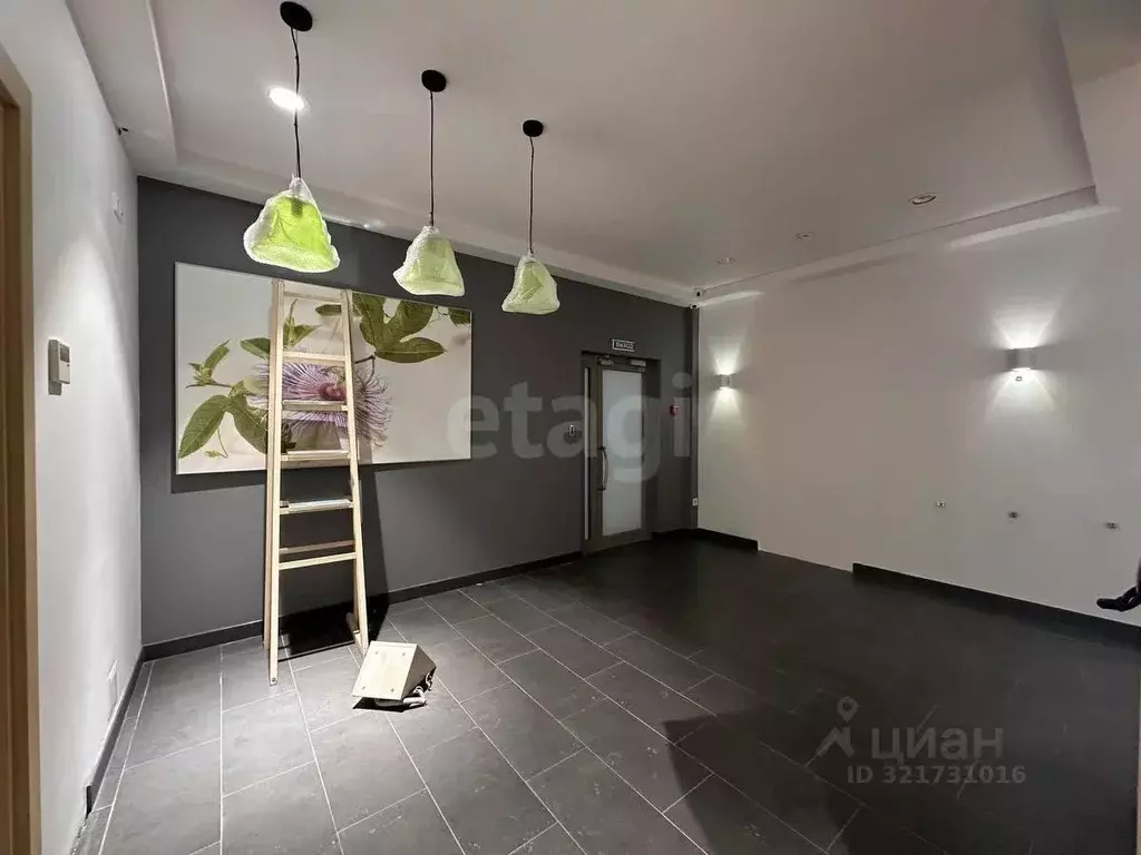 Помещение свободного назначения в Новосибирская область, Новосибирск ... - Фото 1