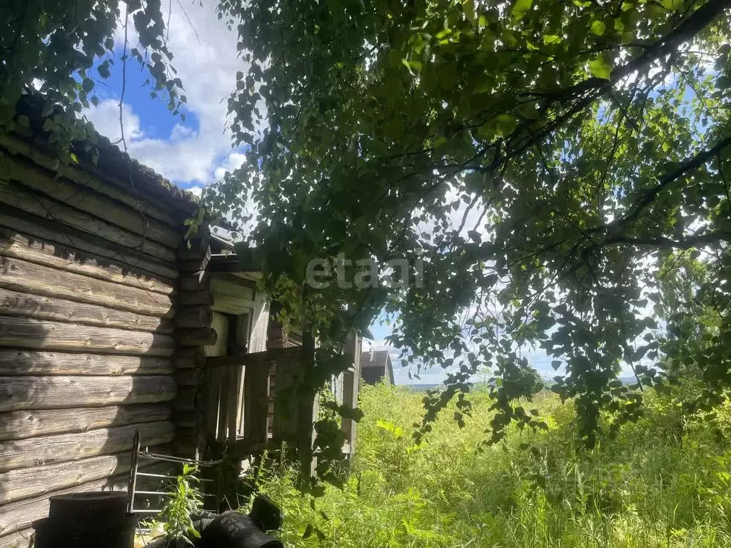 Участок в Коми, Сыктывдинский район, Палевицы муниципальное ... - Фото 1