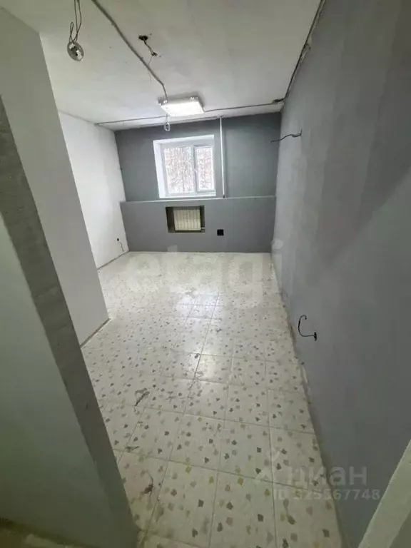 Помещение свободного назначения в Еврейская автономная область, ... - Фото 1