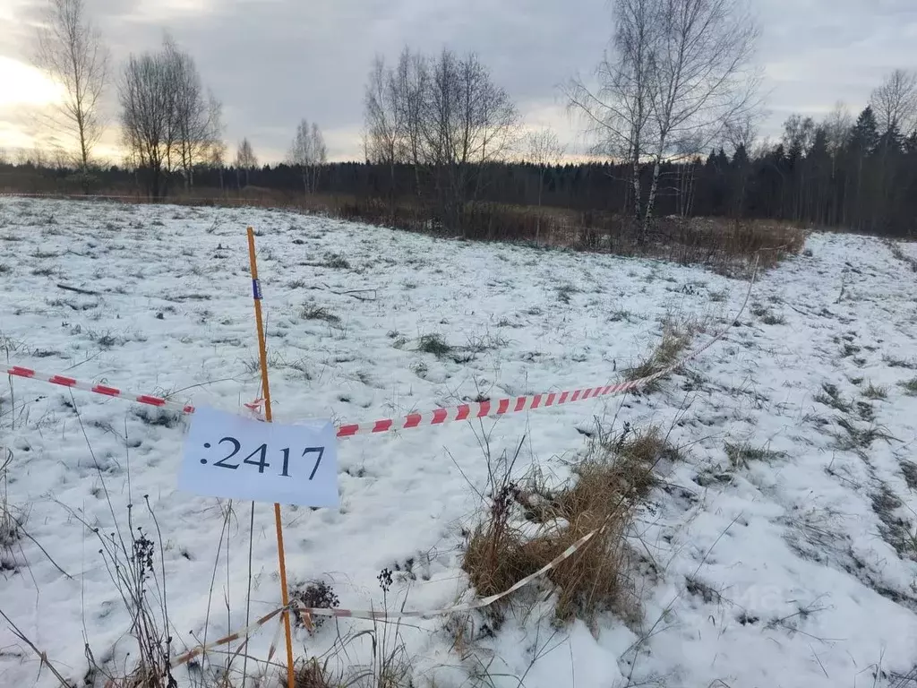 Участок в Московская область, Клин городской округ, д. Марфино бул. ... - Фото 2