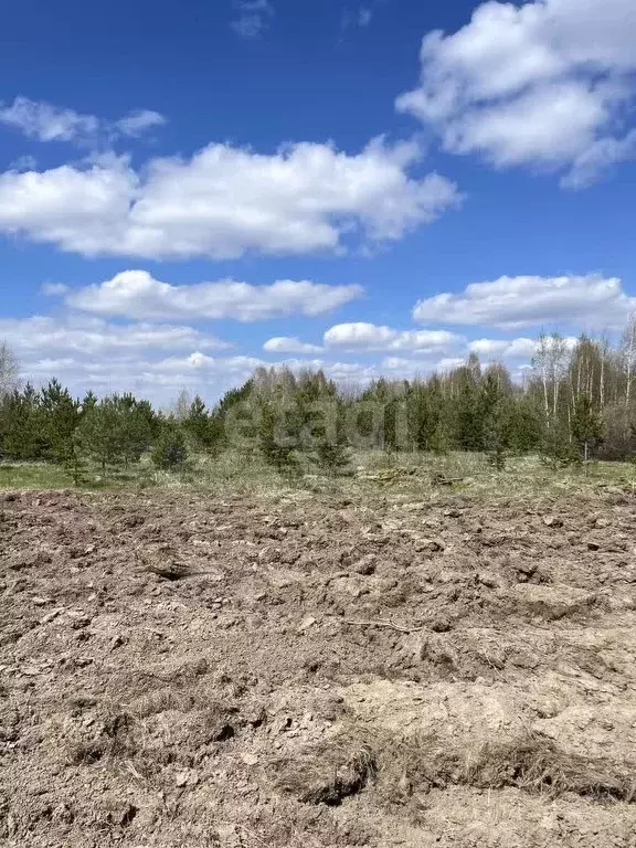 Участок 14,5 сот. (личное подсобное хозяйство (лпх)) - Фото 1
