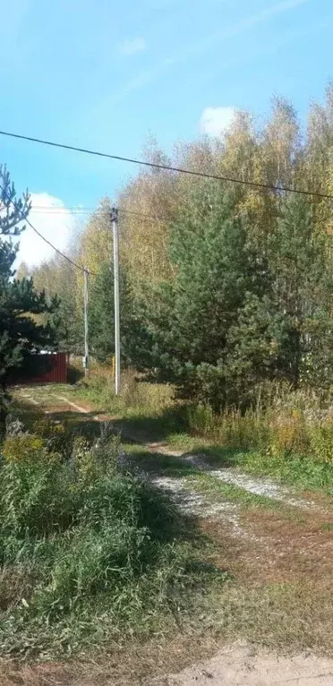 Участок в Владимирская область, Суздальский район, Боголюбовское ... - Фото 0