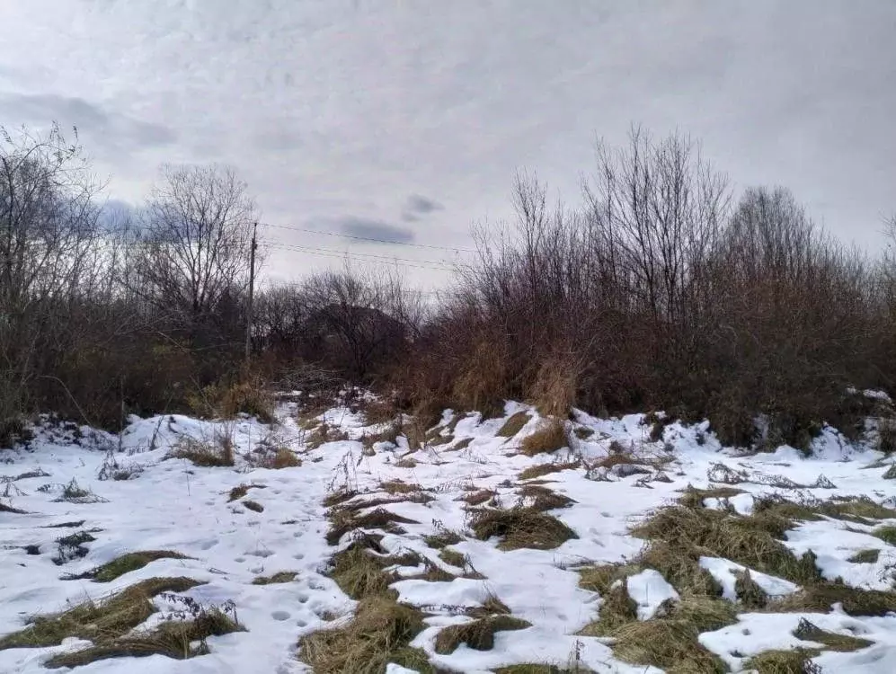 Участок в Иркутская область, Иркутский муниципальный округ, с. ... - Фото 1