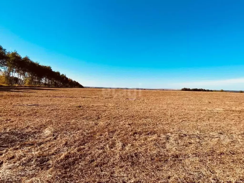 Участок в Пензенская область, Бессоновский район, с. Мастиновка  (6.0 ... - Фото 0
