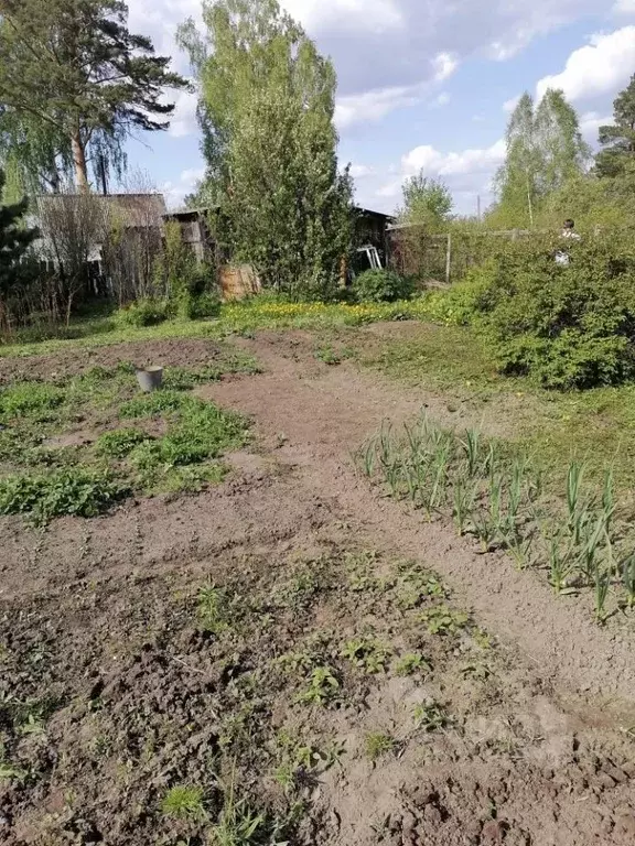Участок в Томская область, Томск пос. Светлый, Светлячок садовое ... - Фото 2