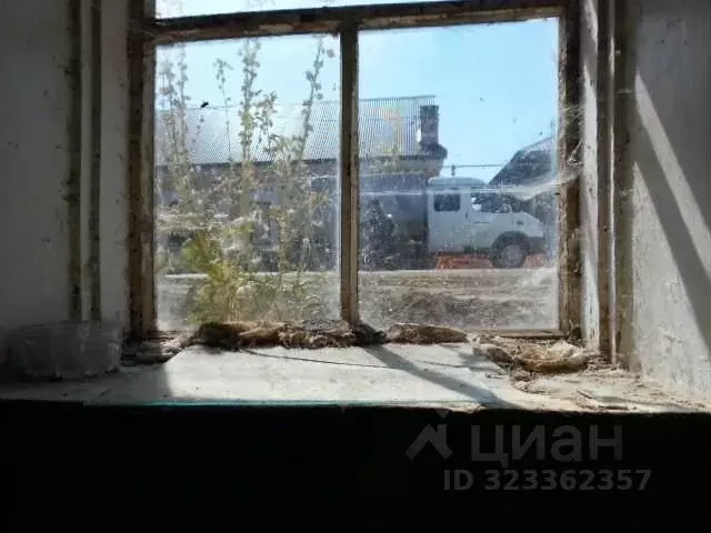 Помещение свободного назначения в Татарстан, Елабуга Казанская ул., 53 ... - Фото 1