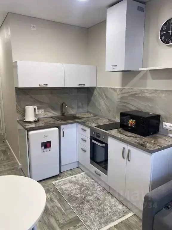 Студия Алтайский край, Белокуриха ул. Академика Мясникова, 14 (28.0 м) - Фото 0