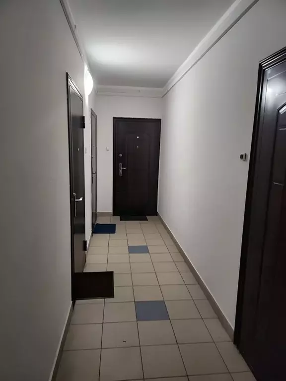 1-к кв. Санкт-Петербург Шуваловский просп., 37к1 (33.0 м) - Фото 1