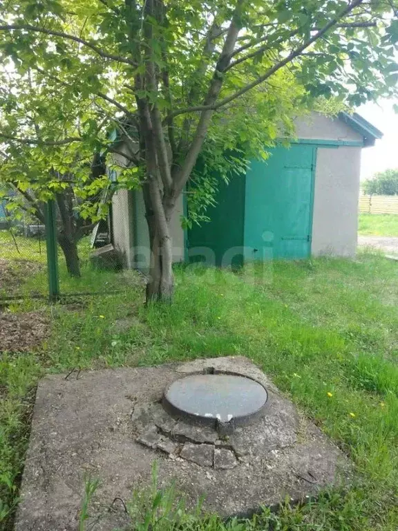Дом в Амурская область, Тамбовский муниципальный округ, с. Садовое ул. ... - Фото 1