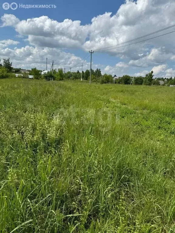 Дом в Тульская область, городской округ Тула, деревня Барсуки (100 м) - Фото 2