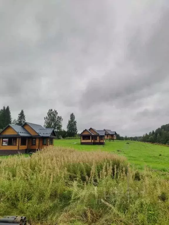 Дом в Карелия, Питкярантский муниципальный округ, д. Мийнала  (65 м) - Фото 2