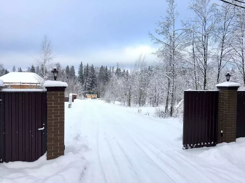 Участок в Московская область, Дмитровский муниципальный округ, Хлыбы ... - Фото 1