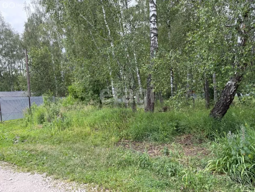 Участок в Московская область, городской округ Серпухов, деревня ... - Фото 1