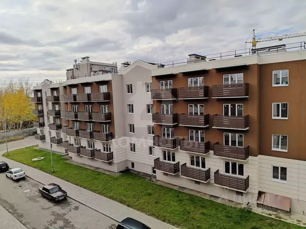 Студия Воронежская область, с. Новая Усмань ул. Полевая, 22 (27.5 м) - Фото 1